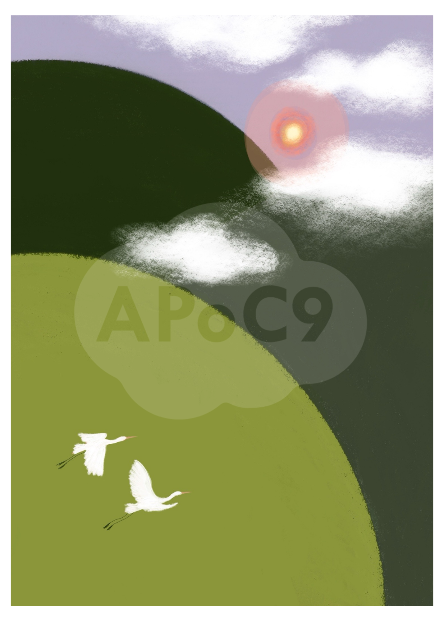 Par de Aves - 5x7 Art Print
