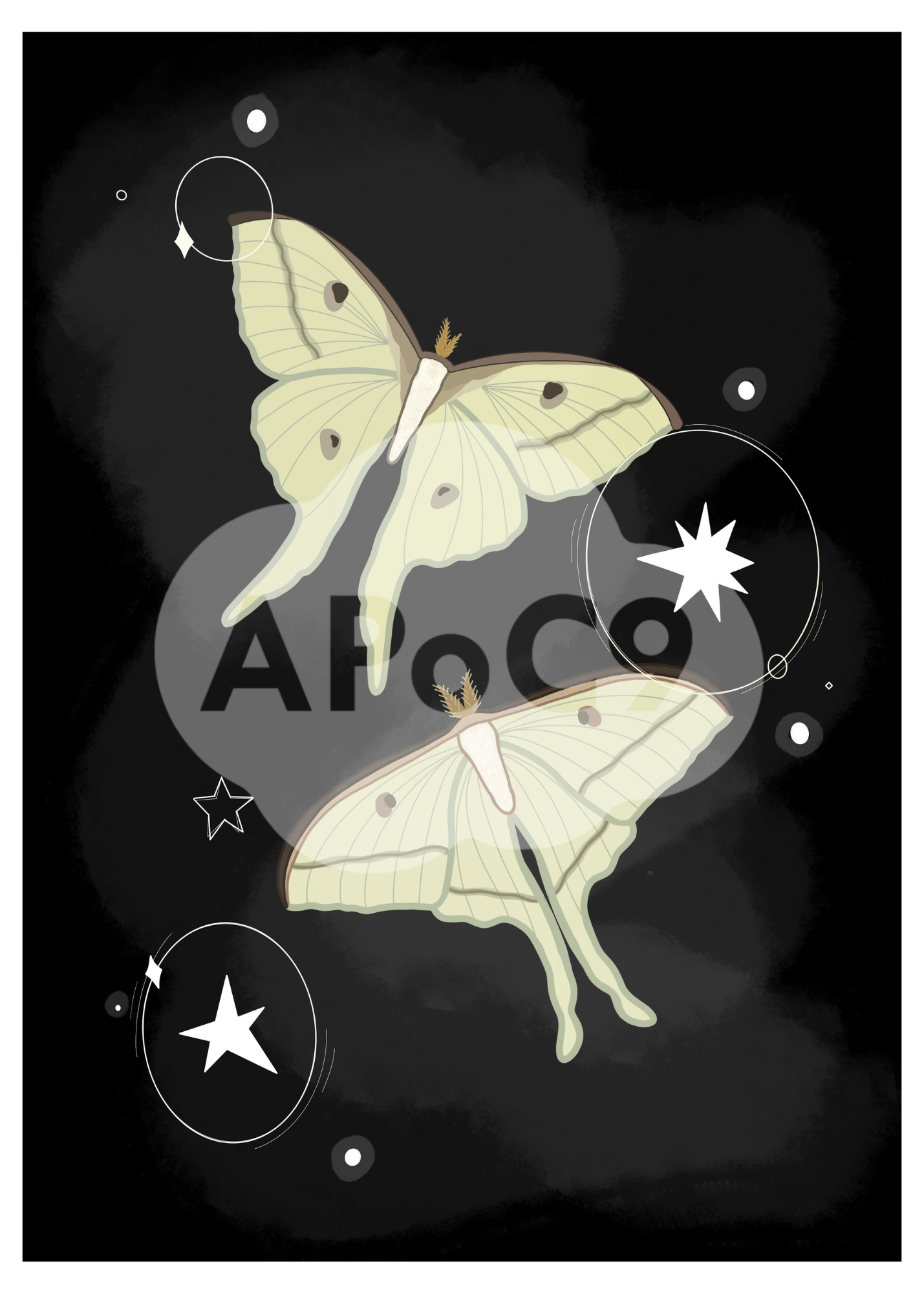 Luna Moths - 5x7 Art Print