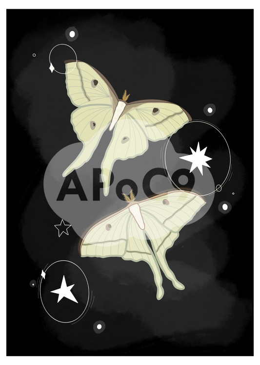 Luna Moths - 5x7 Art Print