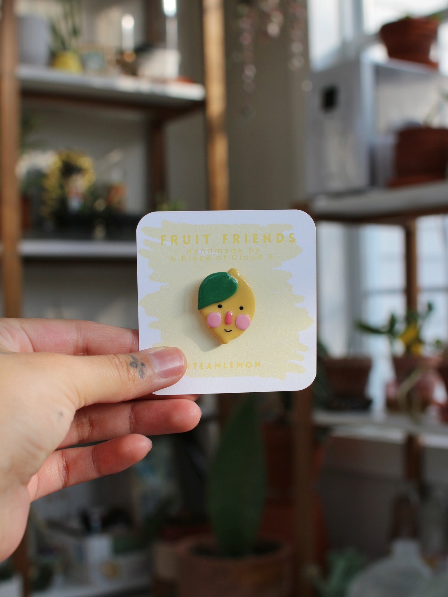 Fruit Friends - Handmade Polymer Clay Pins