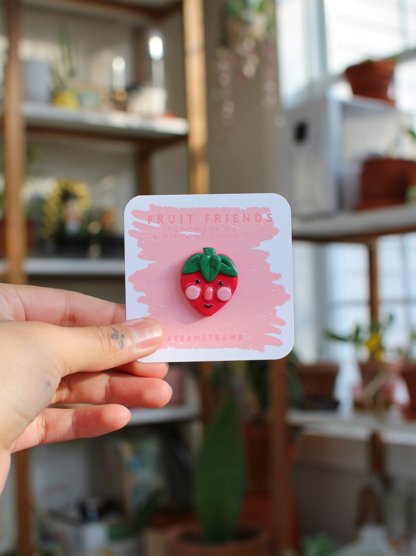 Fruit Friends - Handmade Polymer Clay Pins