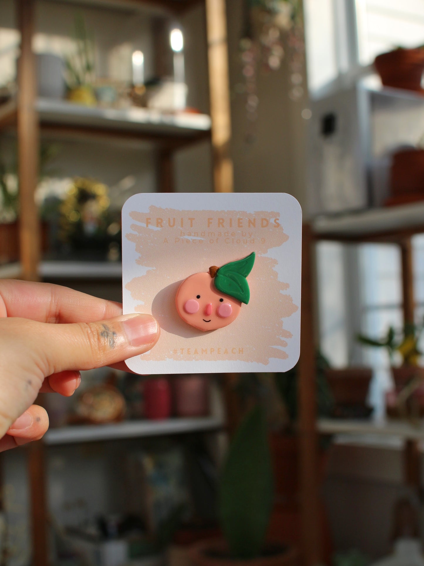 Fruit Friends - Handmade Polymer Clay Pins